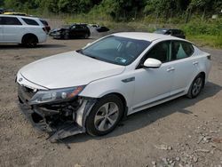 KIA salvage cars for sale: 2014 KIA Optima Hybrid