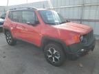 2019 Jeep Renegade Trailhawk