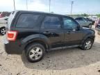 2010 Ford Escape XLS