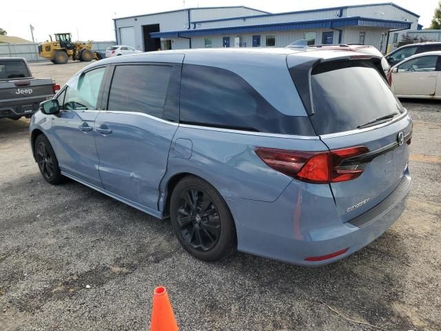 2024 Honda Odyssey Sport