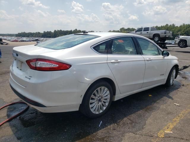 2013 Ford Fusion SE Hybrid