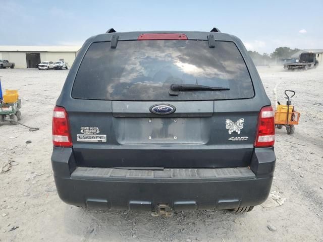 2008 Ford Escape XLT