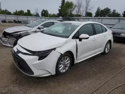 Toyota Corolla Vehiculos salvage en venta: 2020 Toyota Corolla LE