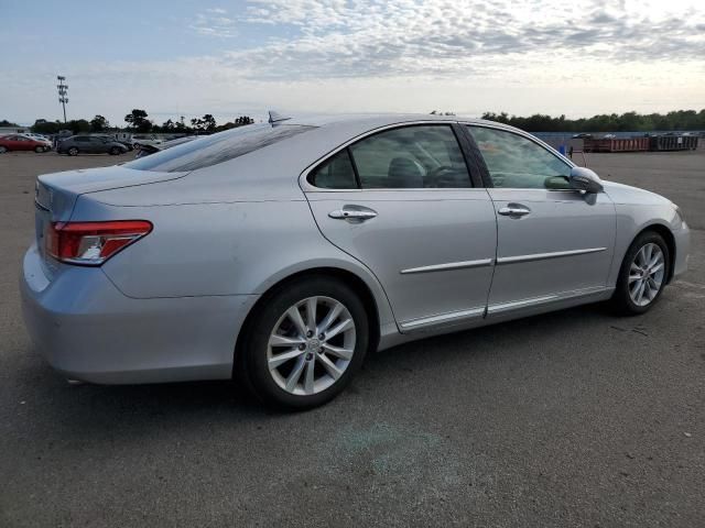 2010 Lexus ES 350