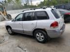 2006 Hyundai Santa FE GLS