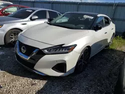 2019 Nissan Maxima S en venta en Chicago Heights, IL