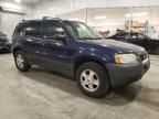 2004 Ford Escape XLT