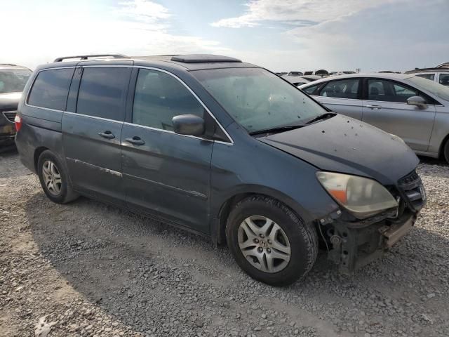 2005 Honda Odyssey EXL