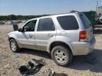 2006 Ford Escape Limited