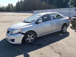 Toyota salvage cars for sale: 2010 Toyota Corolla Base