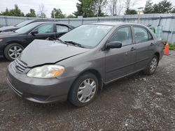 Salvage cars for sale at Bowmanville, ON auction: 2003 Toyota Corolla CE