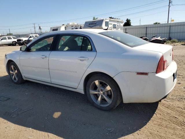 2009 Chevrolet Malibu 2LT