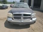 2005 Dodge Dakota SLT