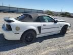 2001 Ford Mustang