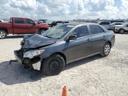 Salvage cars for sale at Houston, TX auction: 2010 Toyota Corolla Base