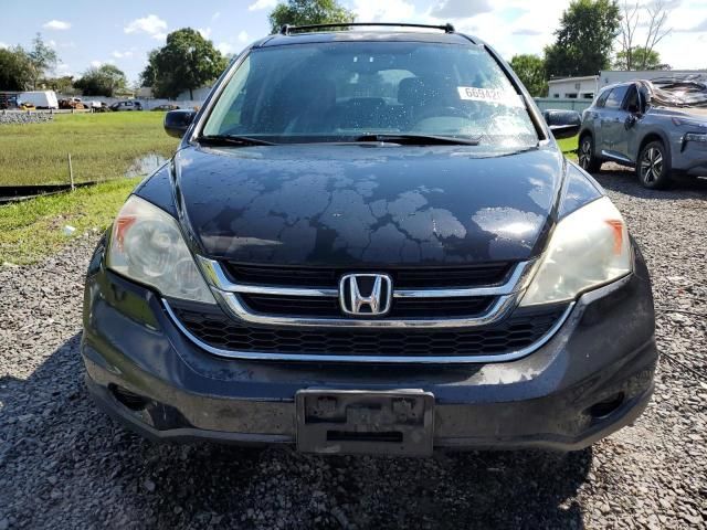 2010 Honda CR-V EXL