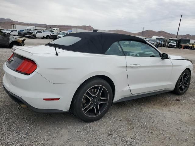 2019 Ford Mustang