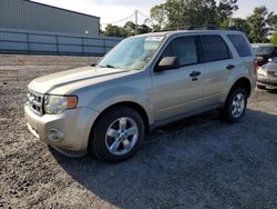 Ford salvage cars for sale: 2012 Ford Escape XLT