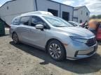 2021 Honda Odyssey EXL