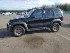 2005 Jeep Liberty Renegade