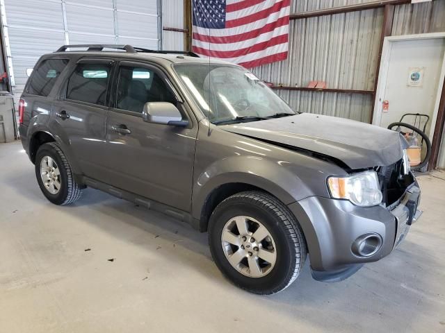 2011 Ford Escape Limited