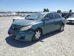 Toyota Vehiculos salvage en venta: 2010 Toyota Corolla Base