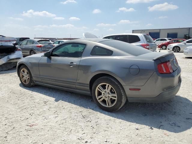 2010 Ford Mustang