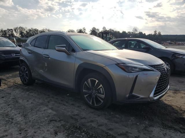 2021 Lexus UX 250H