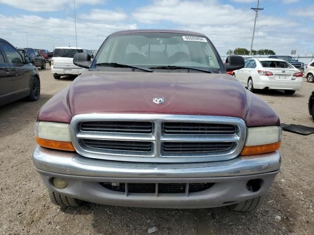 2003 Dodge Dakota Quad SLT