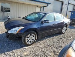 Nissan Vehiculos salvage en venta: 2010 Nissan Altima Base