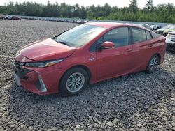 Toyota salvage cars for sale: 2017 Toyota Prius Prime