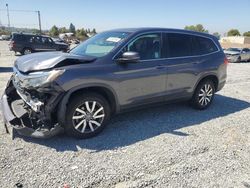 Salvage cars for sale at Mentone, CA auction: 2020 Honda Pilot EXL