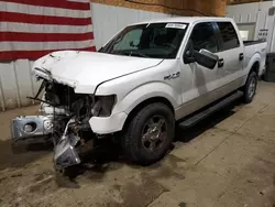 Carros salvage sin ofertas aún a la venta en subasta: 2013 Ford F150 Supercrew