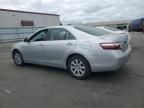 2008 Toyota Camry Hybrid