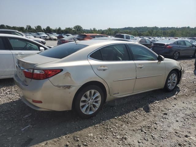 2013 Lexus ES 300H