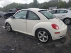 2008 Volkswagen New Beetle Triple White