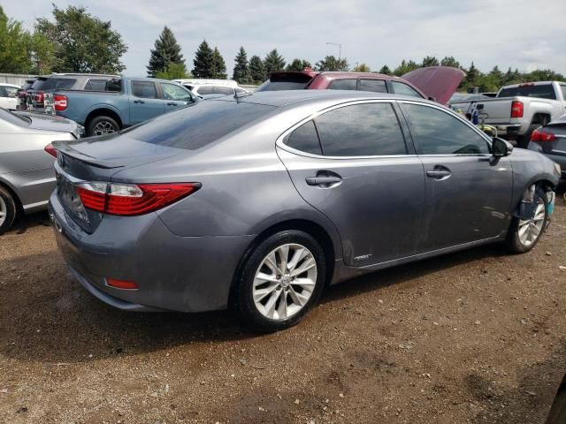 2013 Lexus ES 300H