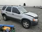 2002 Ford Escape XLT