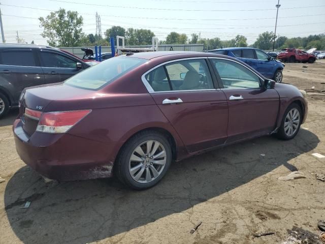 2011 Honda Accord EXL