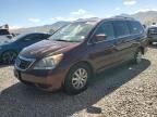 2008 Honda Odyssey EXL