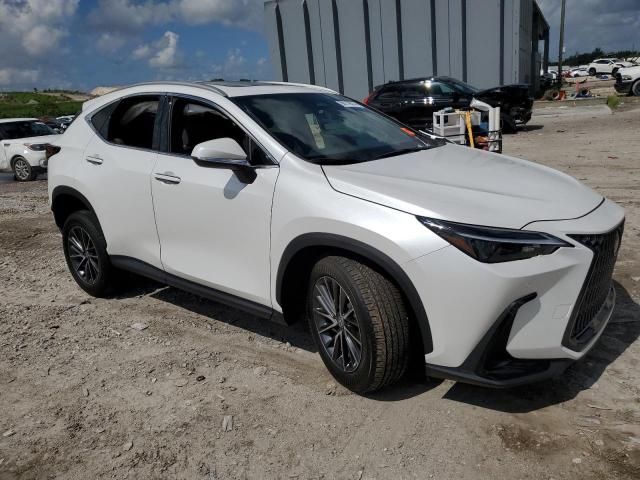 2024 Lexus NX 250 Premium