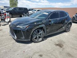 2019 Lexus UX 250H en venta en North Las Vegas, NV