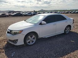 Toyota Camry salvage cars for sale: 2014 Toyota Camry L