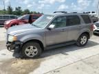 2008 Ford Escape HEV