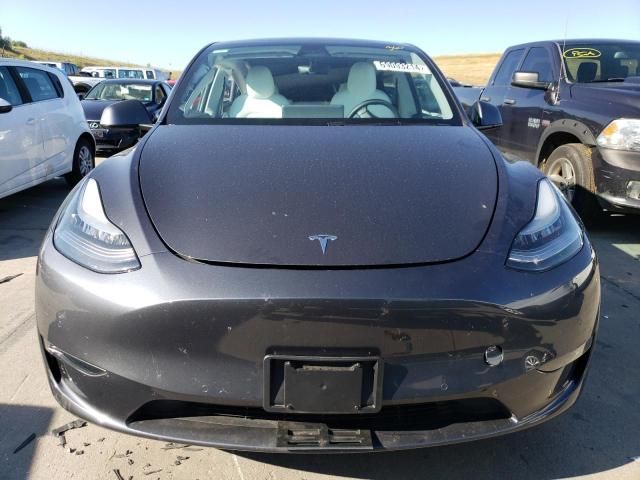 2020 Tesla Model Y