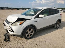 Salvage cars for sale at Houston, TX auction: 2014 Ford Escape SE