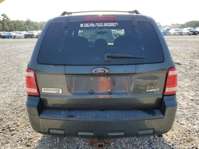 2009 Ford Escape XLT