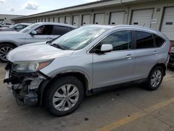 2014 Honda CR-V EXL en venta en Louisville, KY