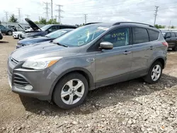 Ford Vehiculos salvage en venta: 2014 Ford Escape SE