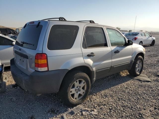 2007 Ford Escape XLT